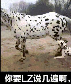 开心一刻gif搞笑,搞笑gif开心一刻好有节奏感