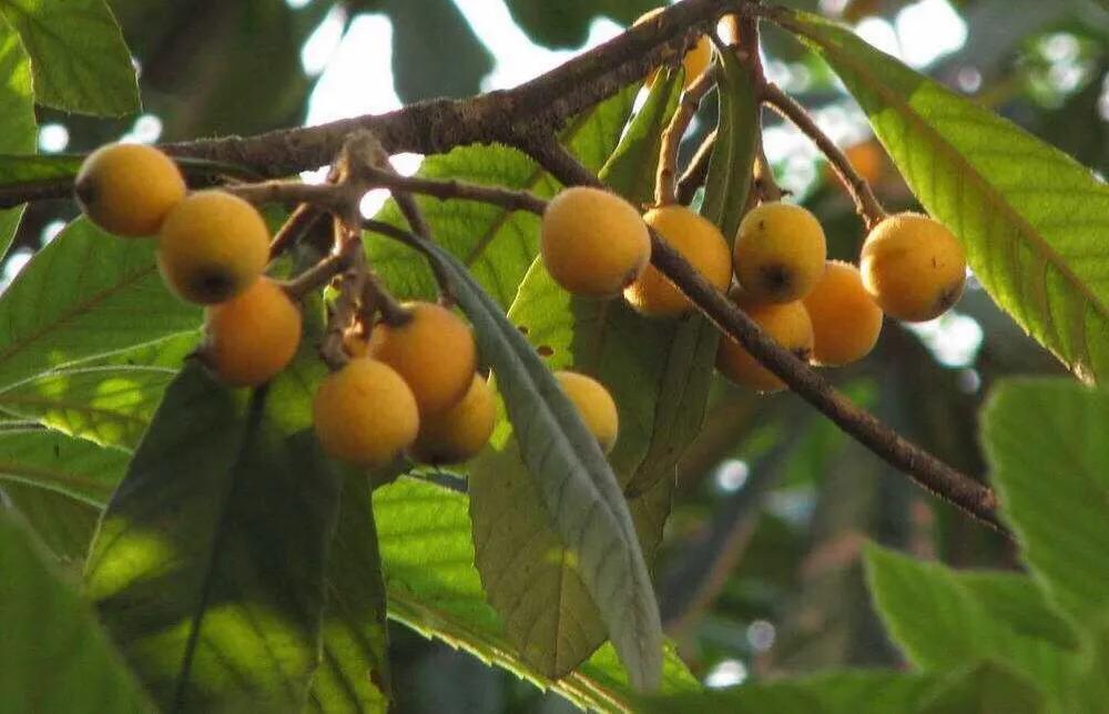 宁海长街文围村视频,最新宁海长街文围村