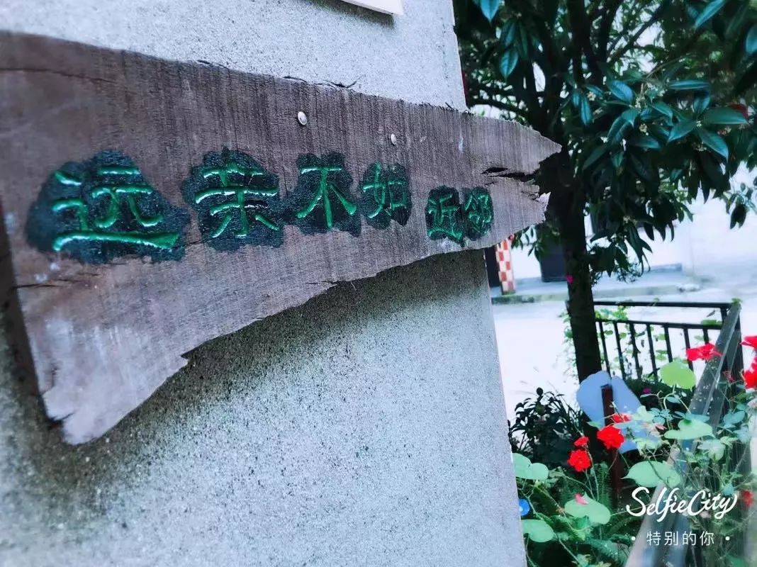 閫熷害鎵撳崱,閫熷害鎵撳崱鎷嶇収