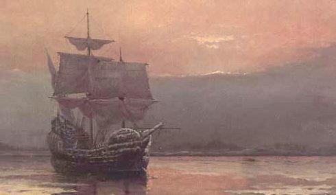 美短虎斑猫咪的品种,美国短毛猫虎斑价格