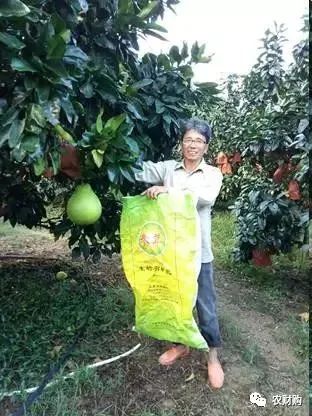 有机菌肥哪个品牌最好,有机菌肥多少钱一袋