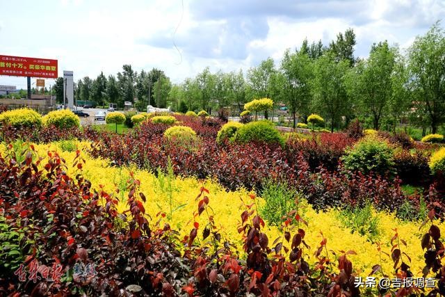 辽源城市环境变化图片,辽源环境