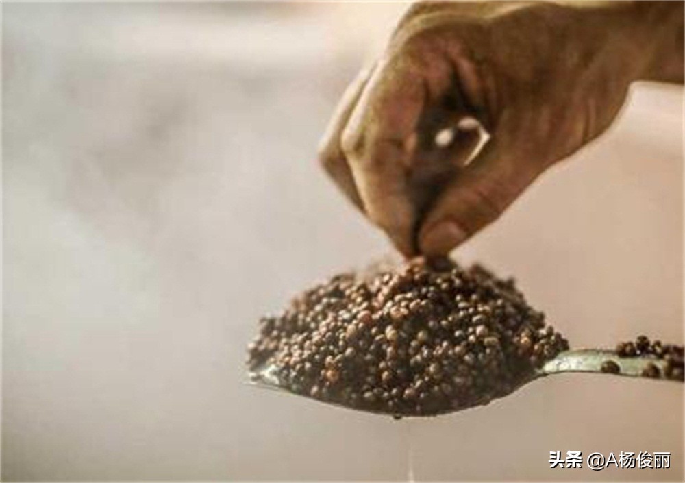 高粱酒的制作方法酿酒设备,酿高粱酒用把高粱粉碎吗