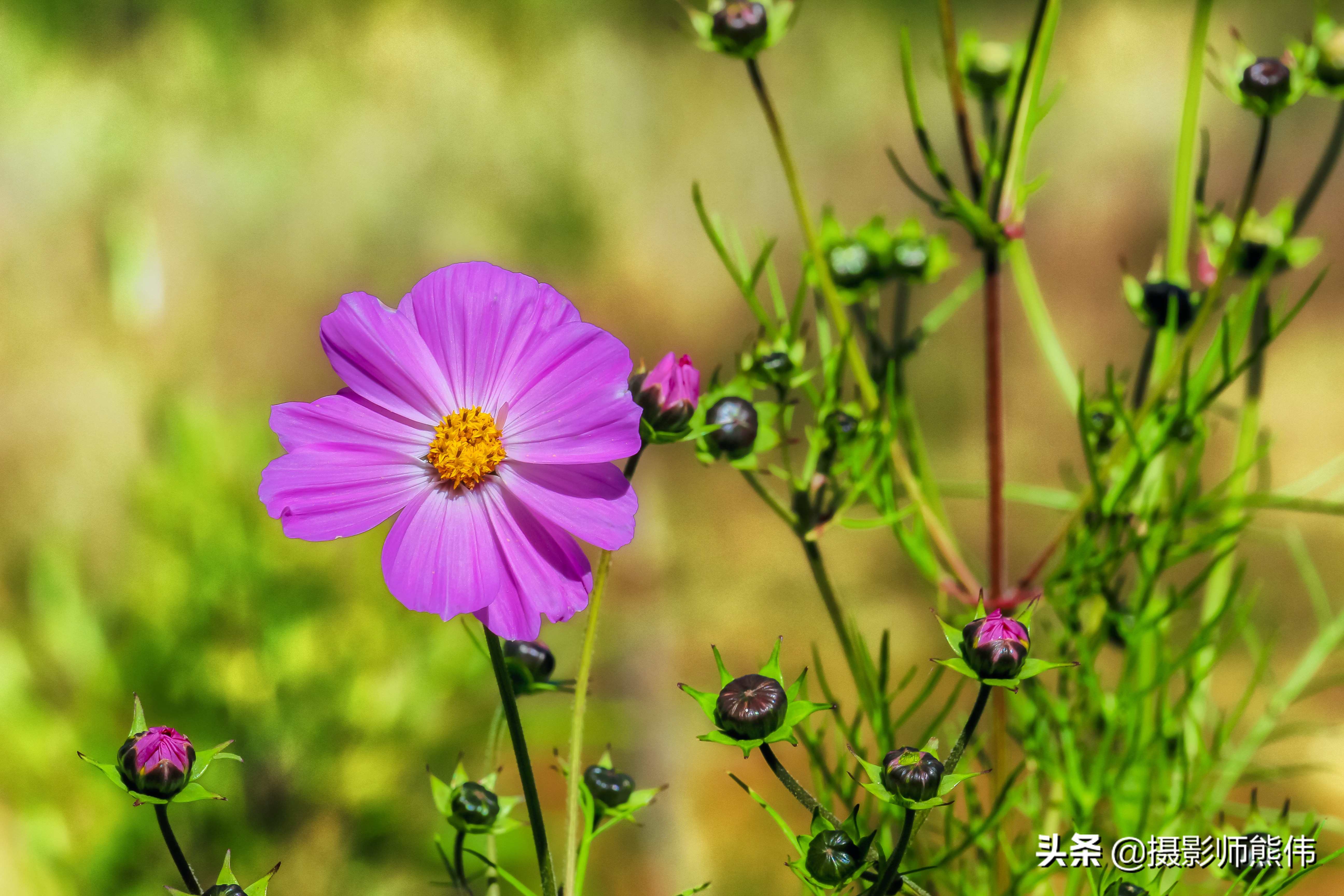 美丽静谧的香格里拉,香格里拉极境之美