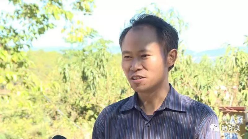 冬桃挑起农特“群英汇”，雾本丰收季电商很给力