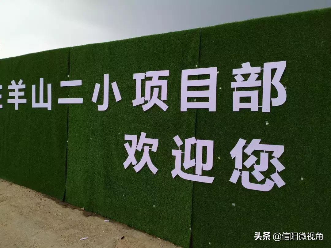 信阳羊山新区的小学排名,信阳羊山外国语小学学区划分