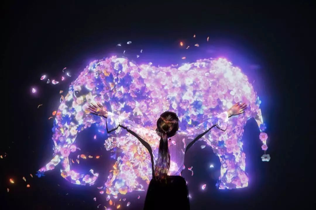 热门景点年卡,旅游年卡又一打卡景点