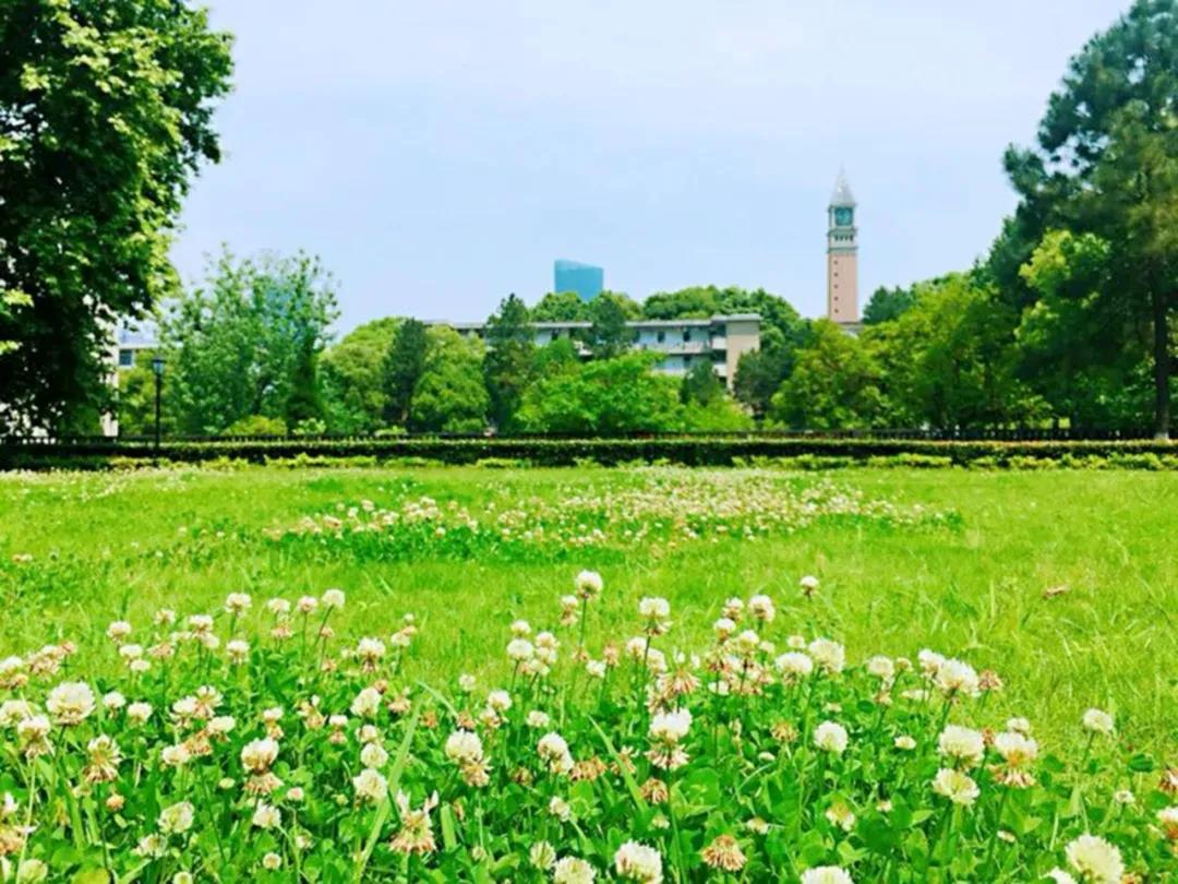 2019年武汉职业技术学院录取分数,2019年武汉职业技术学院的分数线