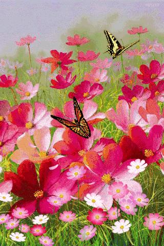 老年三字经经典语录,最新老年三字经全文