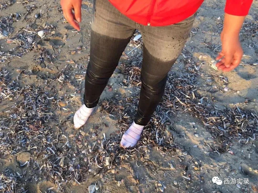 她和我从上海开车进中东后,爱上伊朗人就逃跑,还为他失恋和自杀