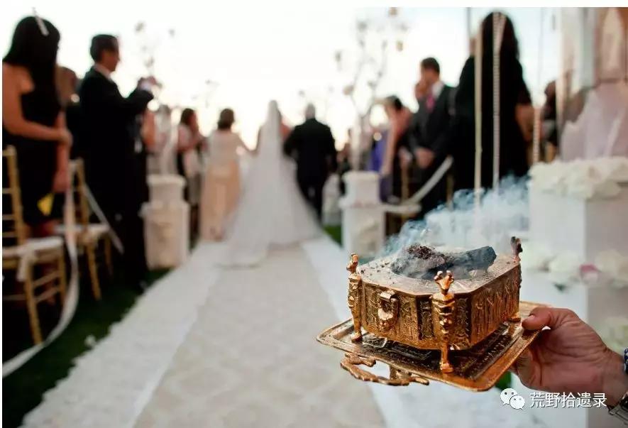 改变世界的植物：骆驼蓬PeganumharmalaL.