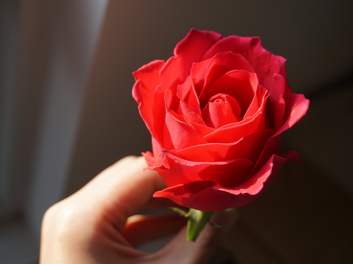 七夕节适合送什么给女朋友,七夕节给40岁的女朋友送什么礼物