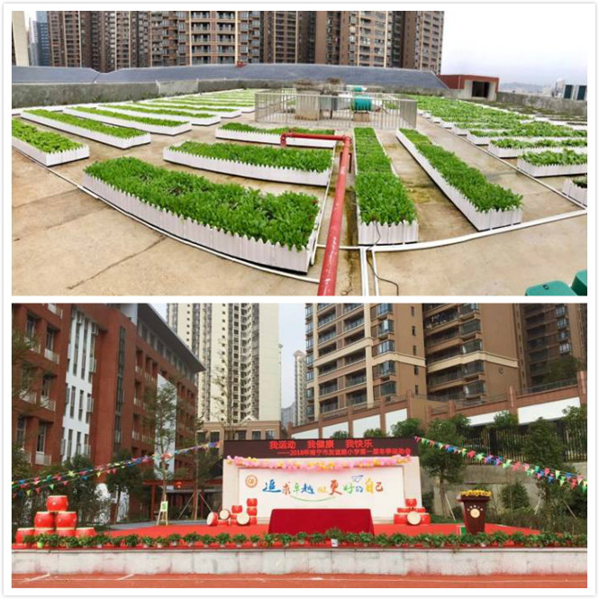 扬帆起航追求卓越,追求卓越锐意进取