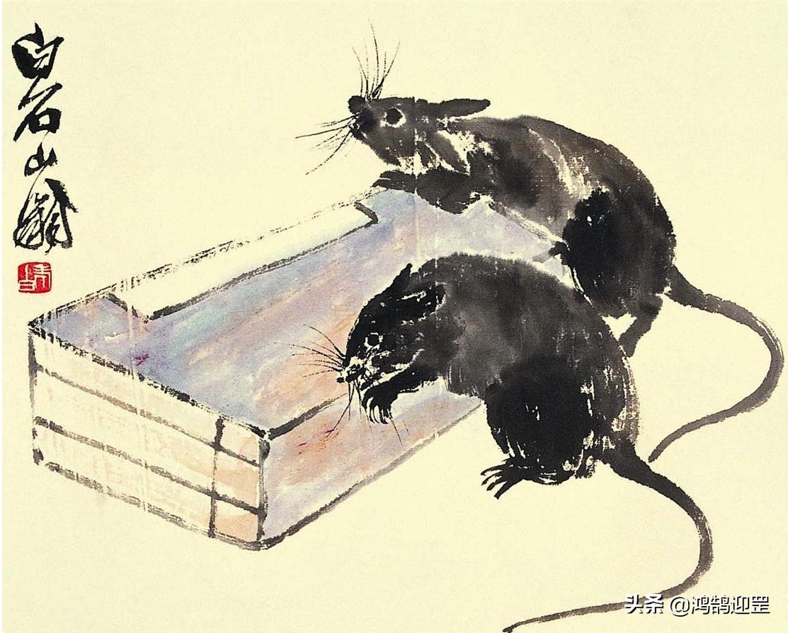 12生肖按照什么规则排序，老鼠为何排在第一？