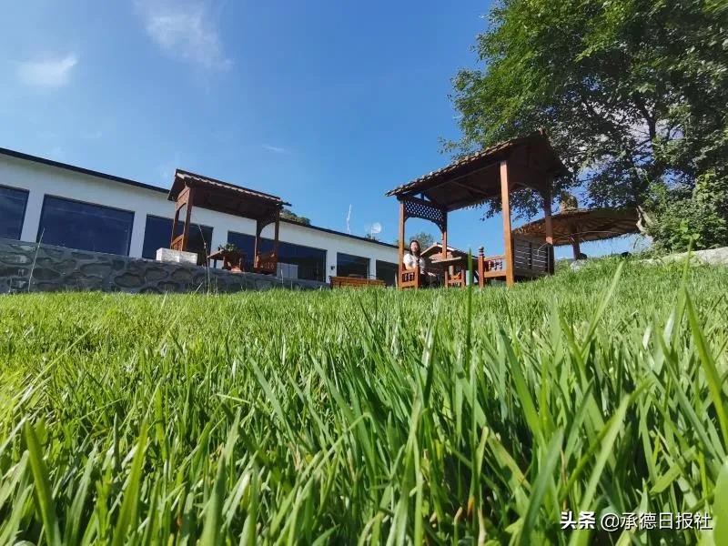 丰宁县杨树底下村,丰宁县选将营乡杨树底下村