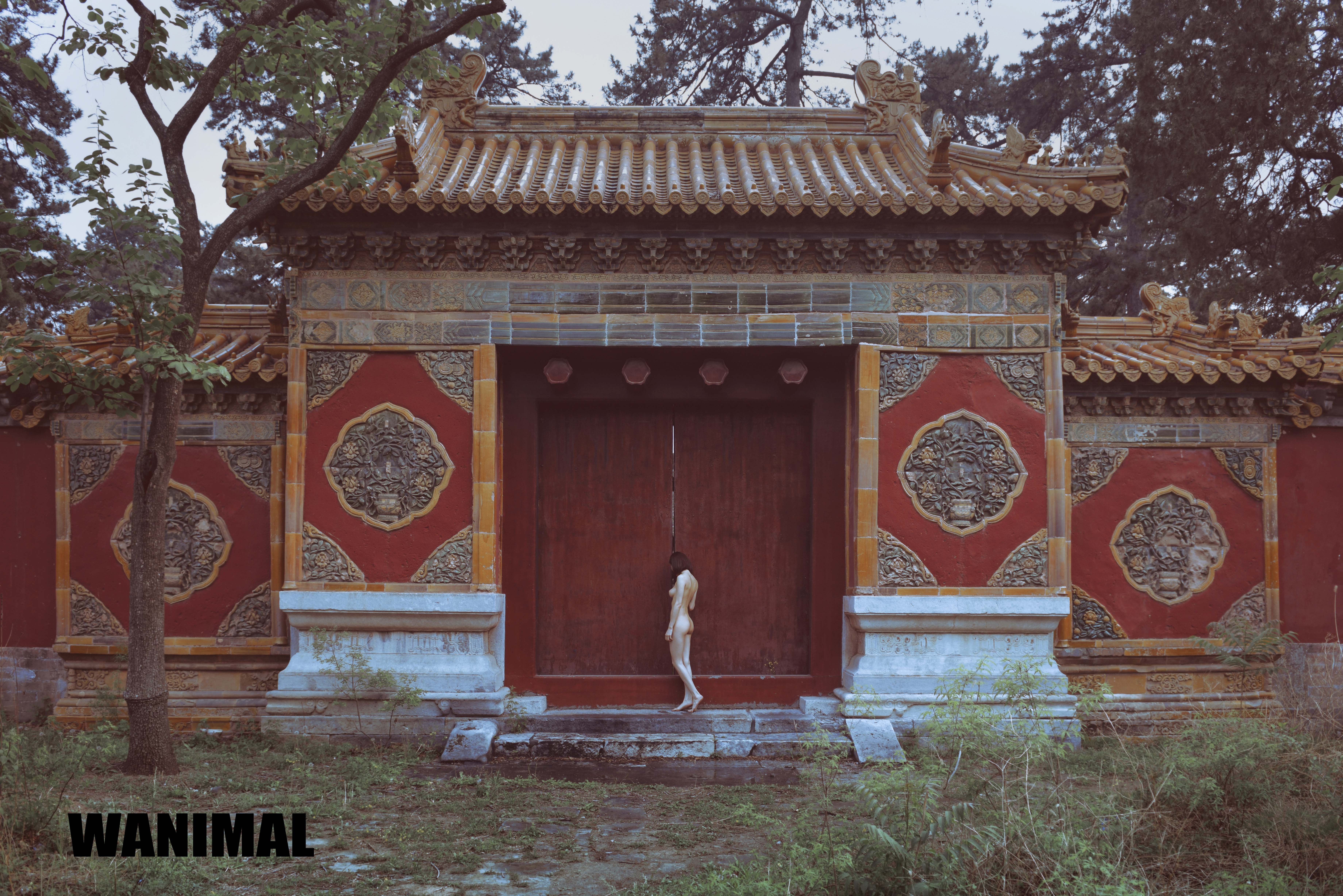 古建筑屋顶装饰构件,中国传统建筑屋顶