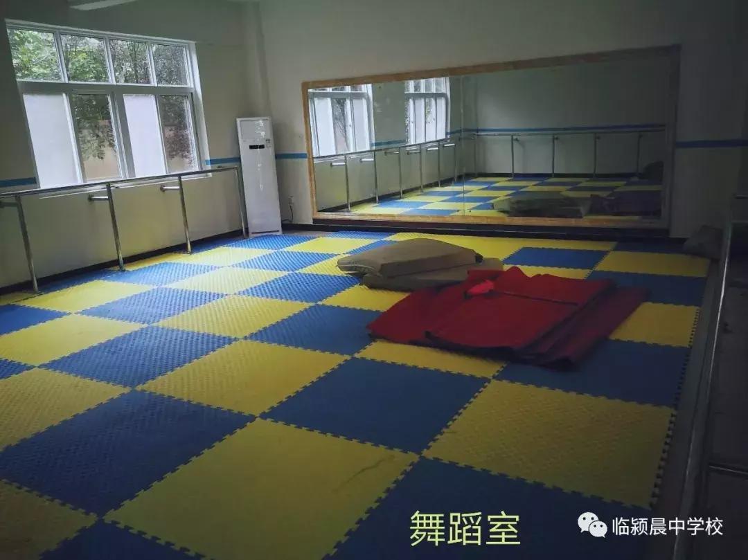 临颍第一所公立寄宿制学校,临颍县城中小学