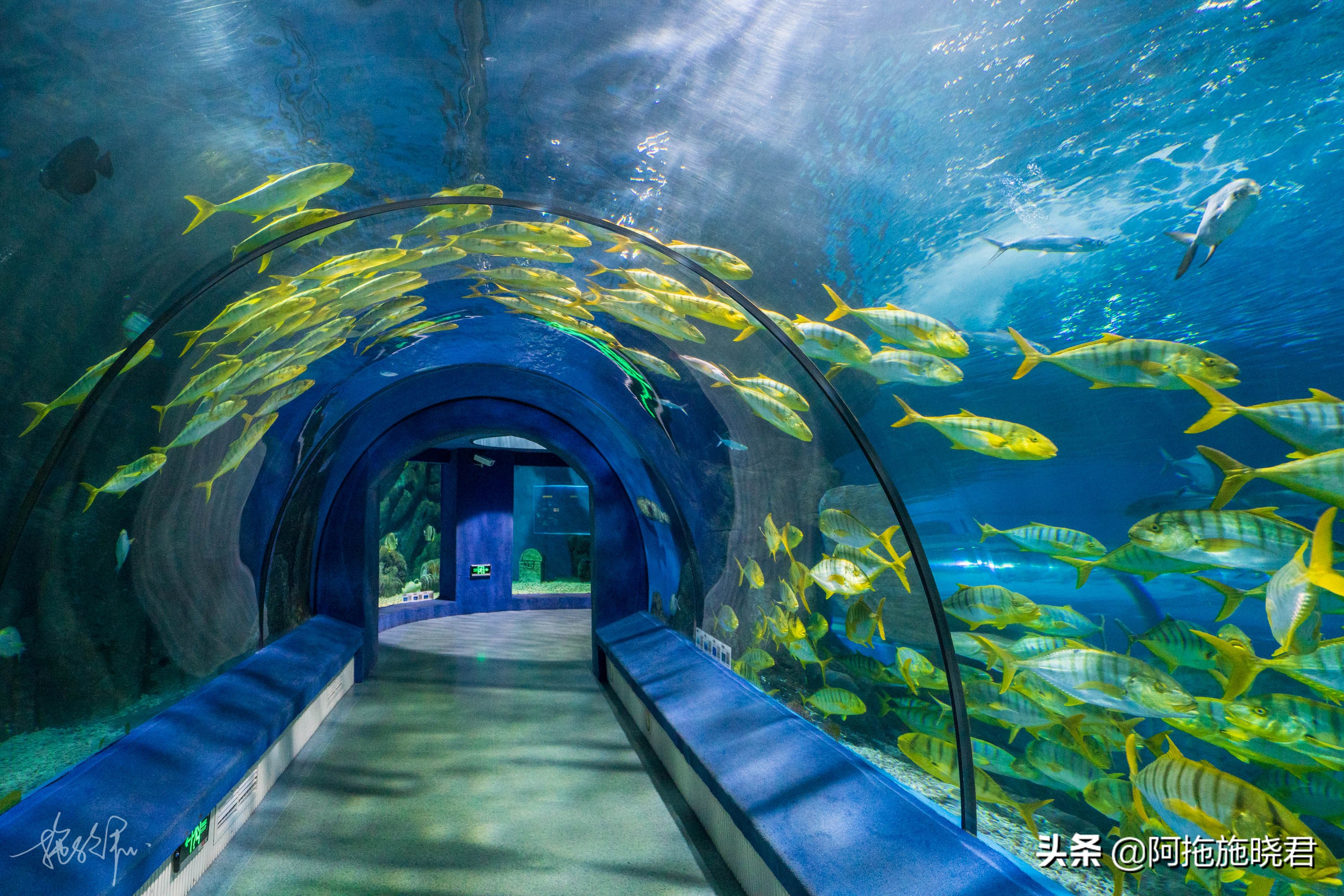 遇见福州仓山,遇见福州创作原声稻香