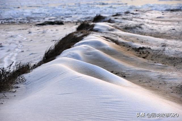 大海和沙漠之间的地方,大海和沙漠相接的地方