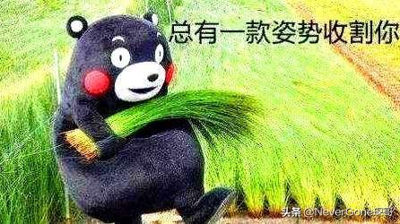 工装靴品牌性价比高的,工装靴品牌排行榜前十名