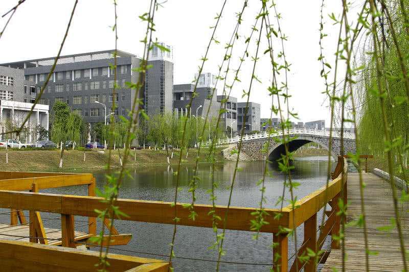 每天带你了解更多知识,每天带你认识一个医学专业