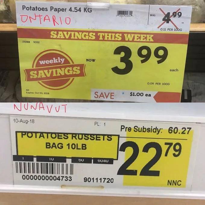 猎杀海豹，吃肉不吃素？！原住民们怒怼动保组织：站着说话不腰疼