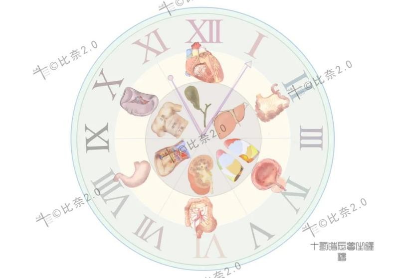 灵魂画手的手绘作品,医学生手绘器官创意解剖绘画