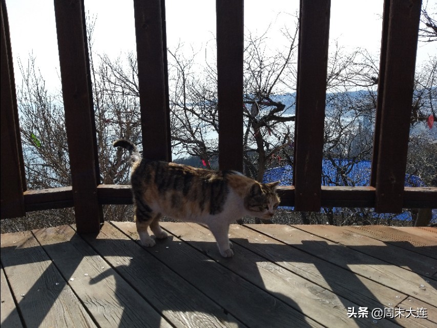 大连莲花山风景区,大连莲花山和森林公园