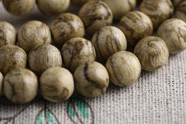 沉香三大树种,沉香木头香种