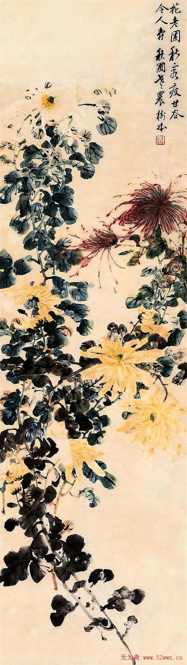 国画写意菊花精品100幅,吴昌硕的写意菊花高雅古朴之大美