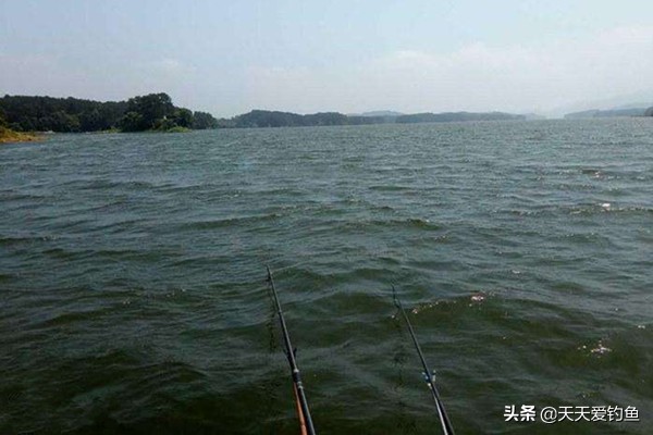 冬天钓鱼什么风向好钓鱼,什么风向好钓鱼东南风好钓鱼吗