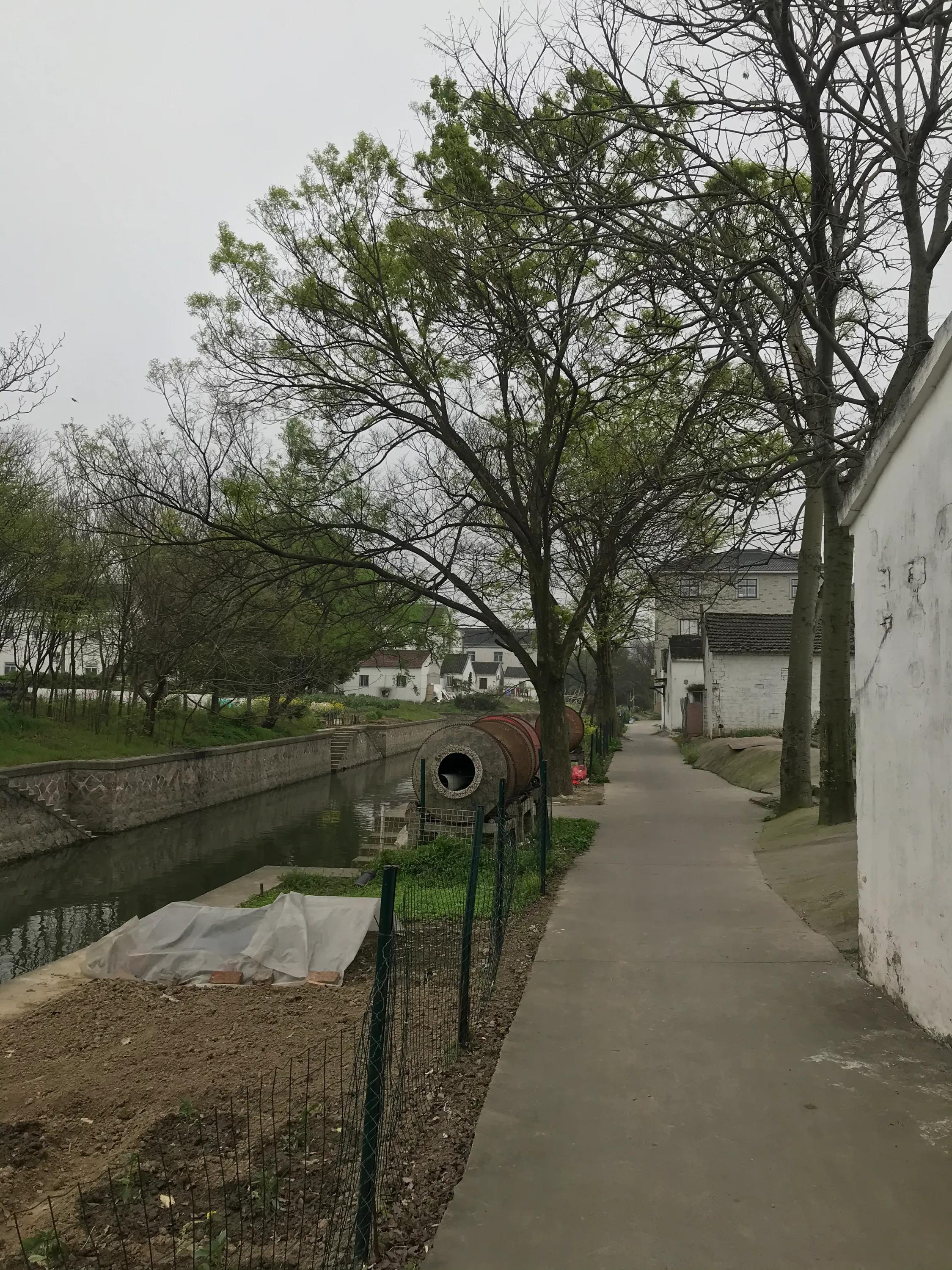 苏州吴江震泽八都,吴江区震泽八都贯桥社区