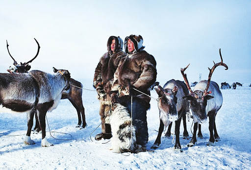爱斯基摩人狩猎习俗,吃生肉的爱斯基摩人