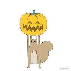 十二星座男女长相描述口诀,十二星座女孩长相排行