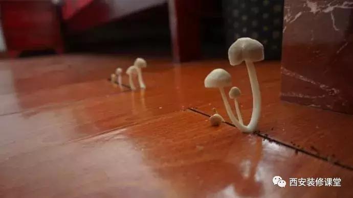 装修后卫生间地面潮湿怎么快速干,如何解决卫生间潮湿问题