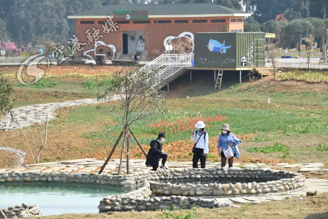 空港花田今天收门票吗,空港花田19.9门票