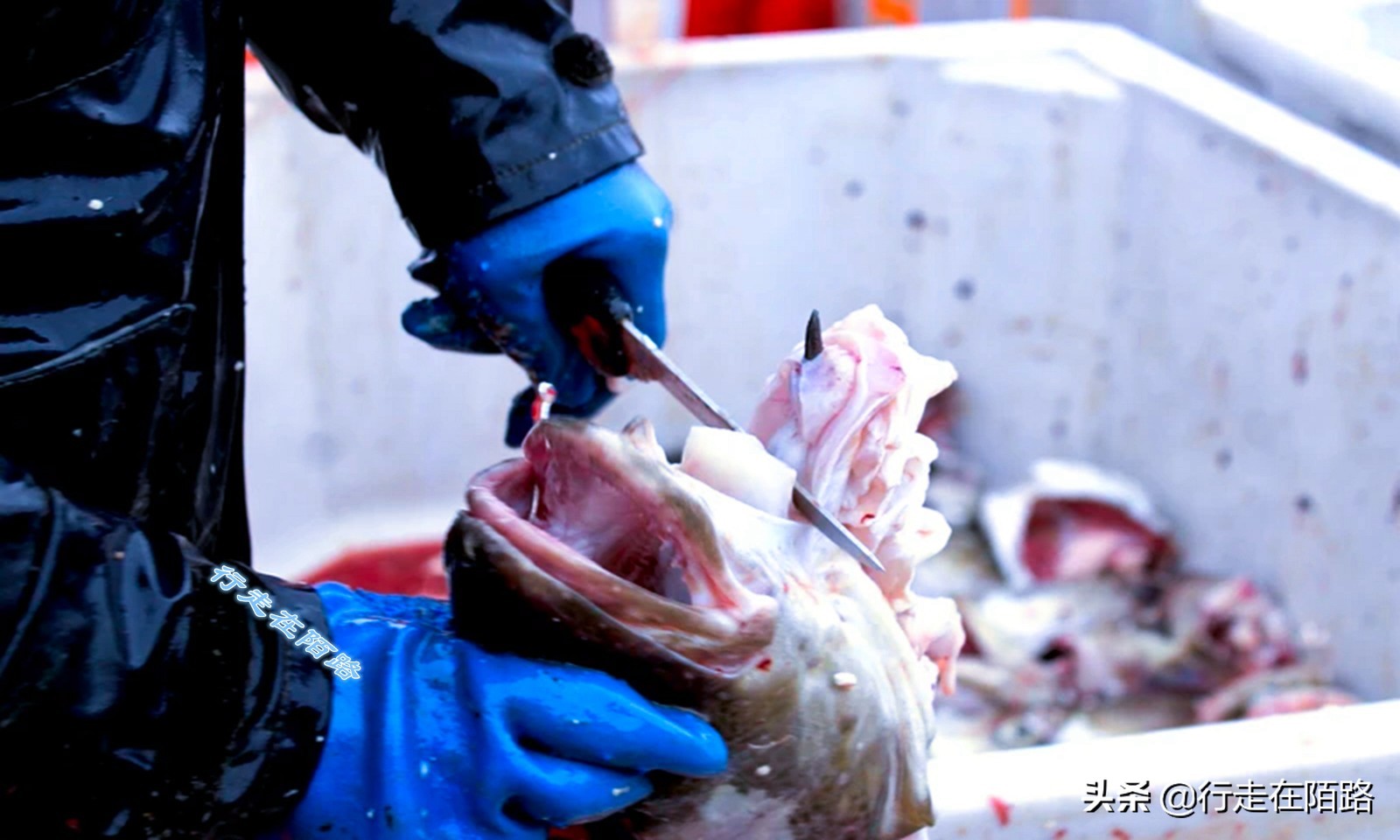 砸锅卖铁省吃俭用供你上大学,砸锅卖铁供你读书这句话对吗