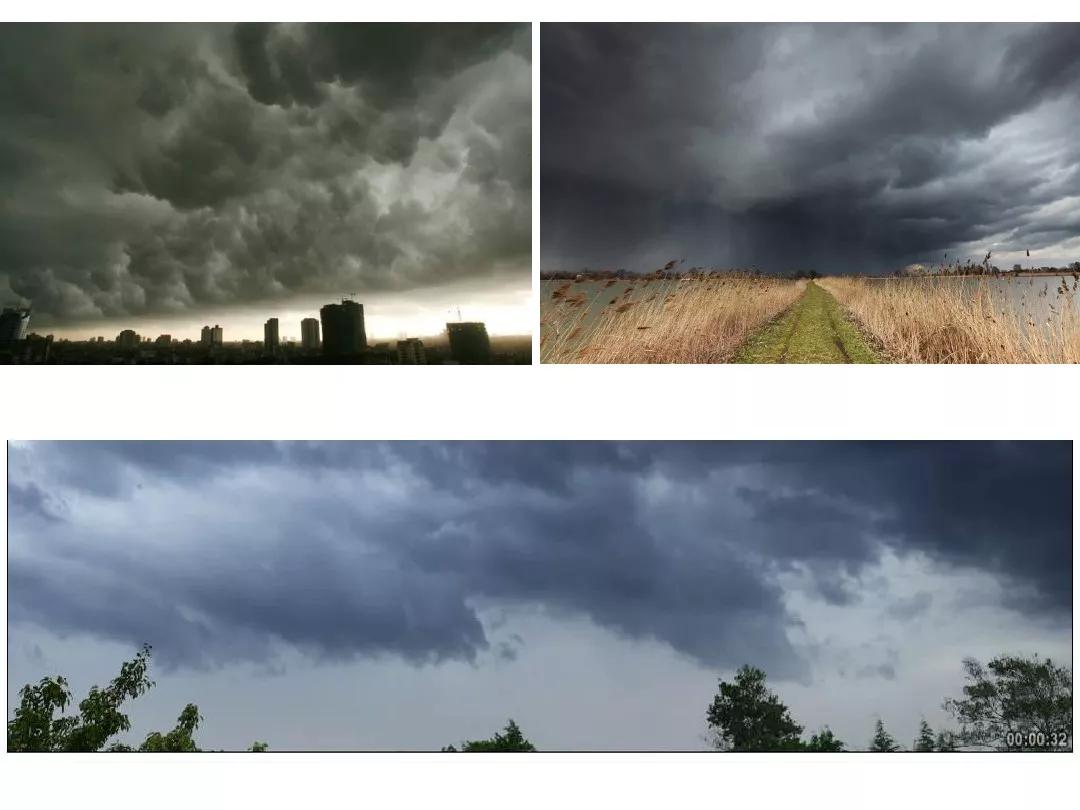 一年级下册14课要下雨了教材分析,部编版一年级下册14要下雨了教案