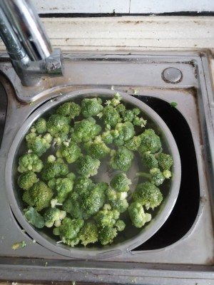 西兰花花蕾要用什么肥料好,西兰花刚开花蕾施肥管理