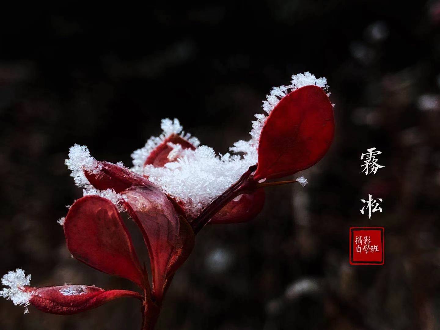 苹果手机拍照需要注意什么,一学就会的iphone手机摄影技巧