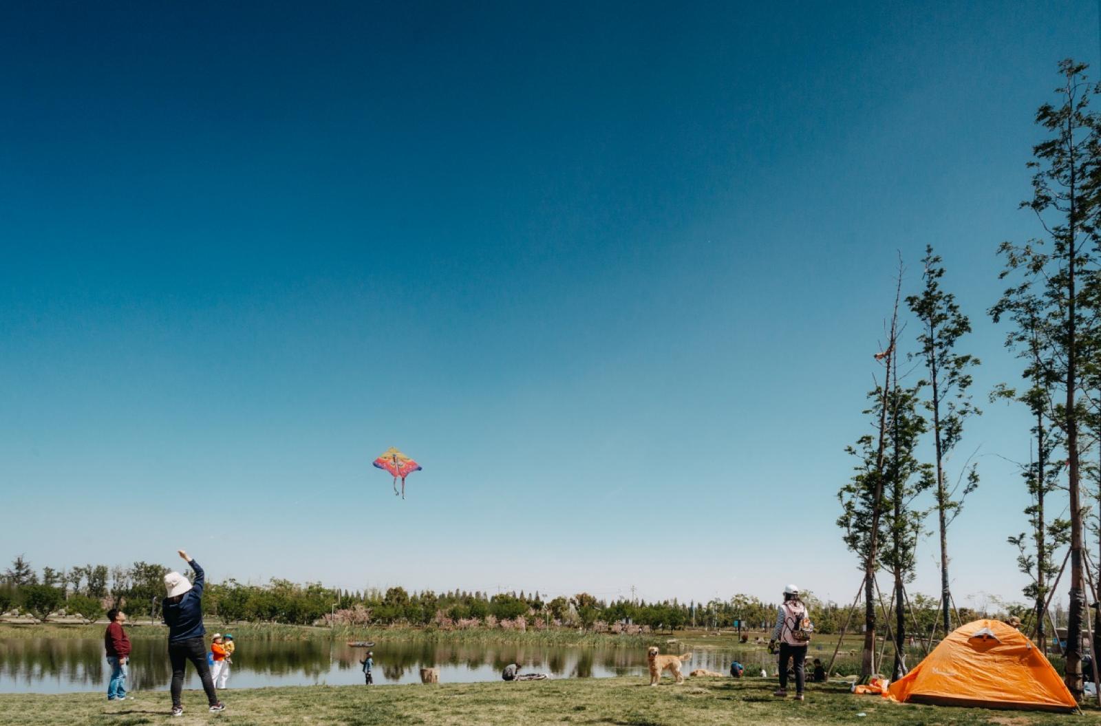 云南昆明最新攻略,昆明旅游不踩坑攻略