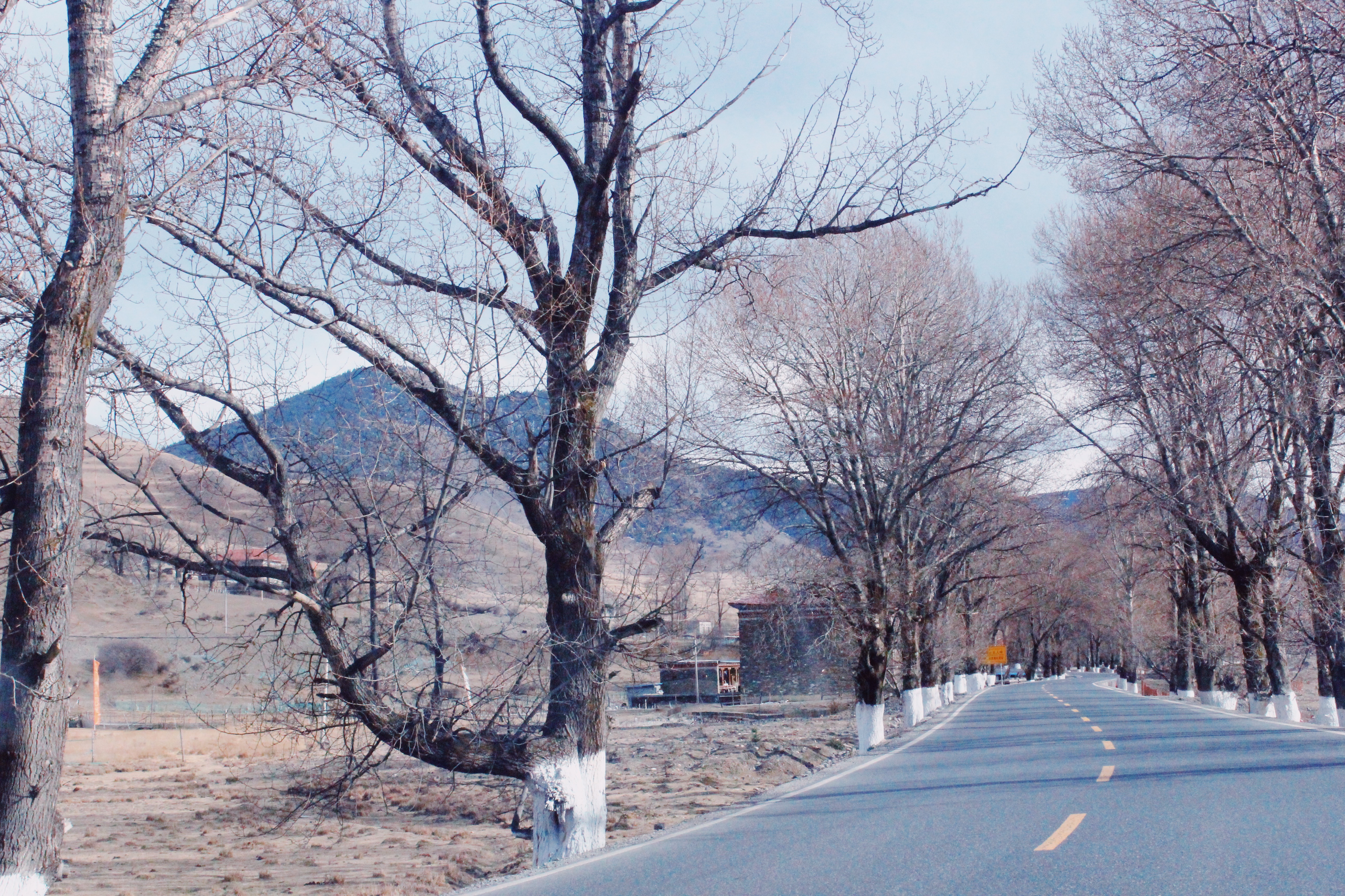 g318骑行上海,自驾g318川藏线分享沿途美景