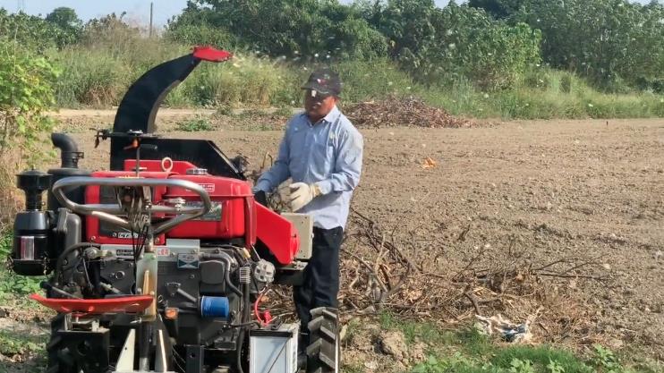 猫砂最好是什么猫砂,猫砂都有什么种类