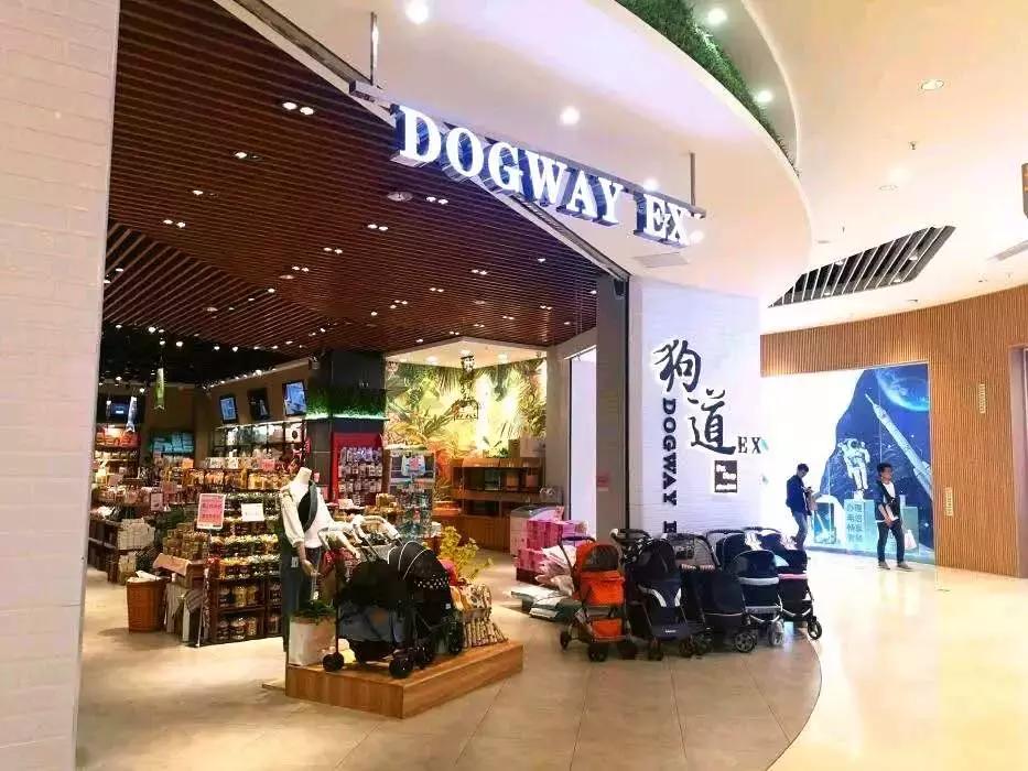 开宠物店的真实生意,开宠物店的投资收益与风险分析