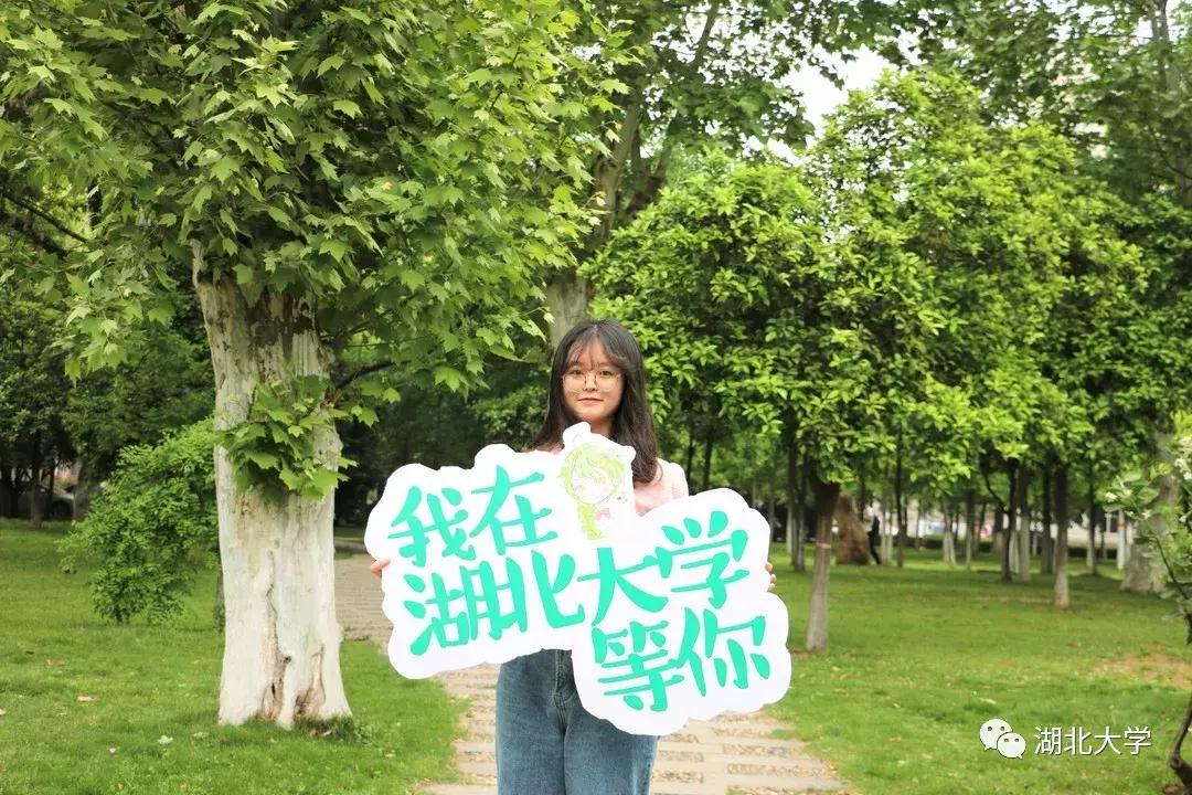 高考志愿湖北大学,高考志愿填报湖北大学