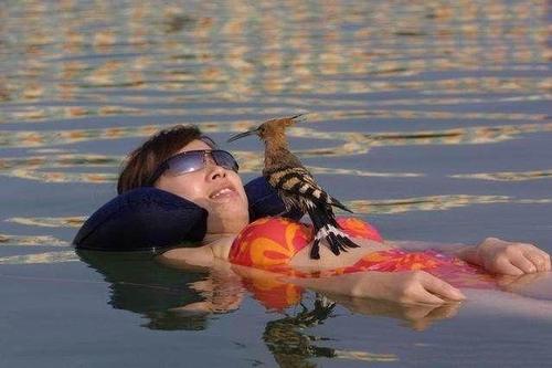 不用担心会下沉的死海，为何没人游泳？导游：容易变成“腌制品”