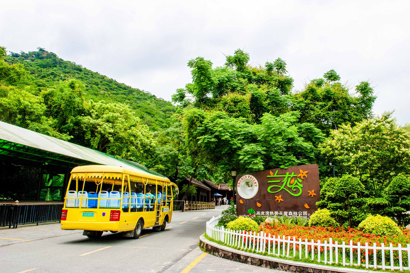 三亚万橡雨林生态园,三亚亚龙湾热带森林公园雨林飞跃