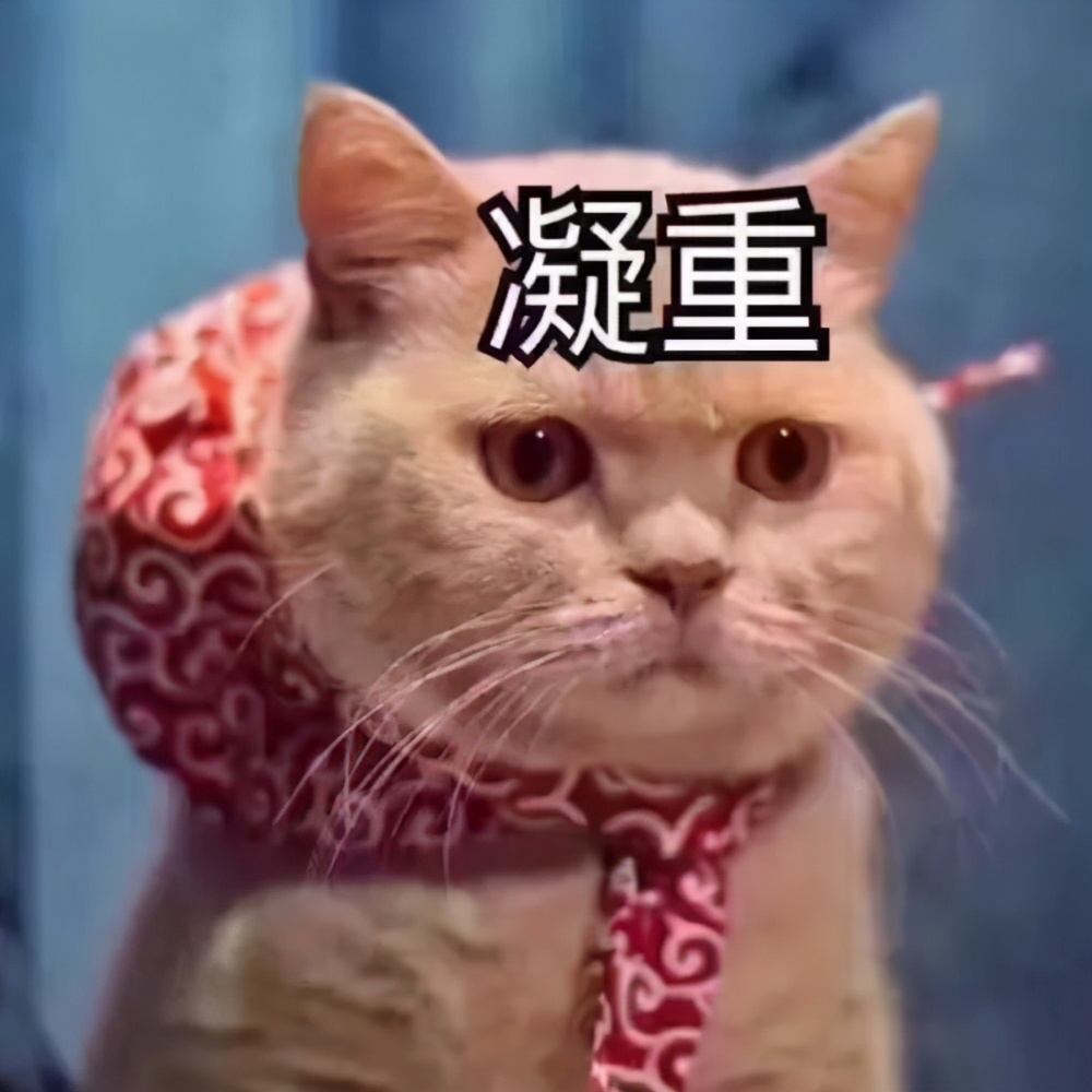 猫咪心脏病引起心衰,猫咪预防心衰