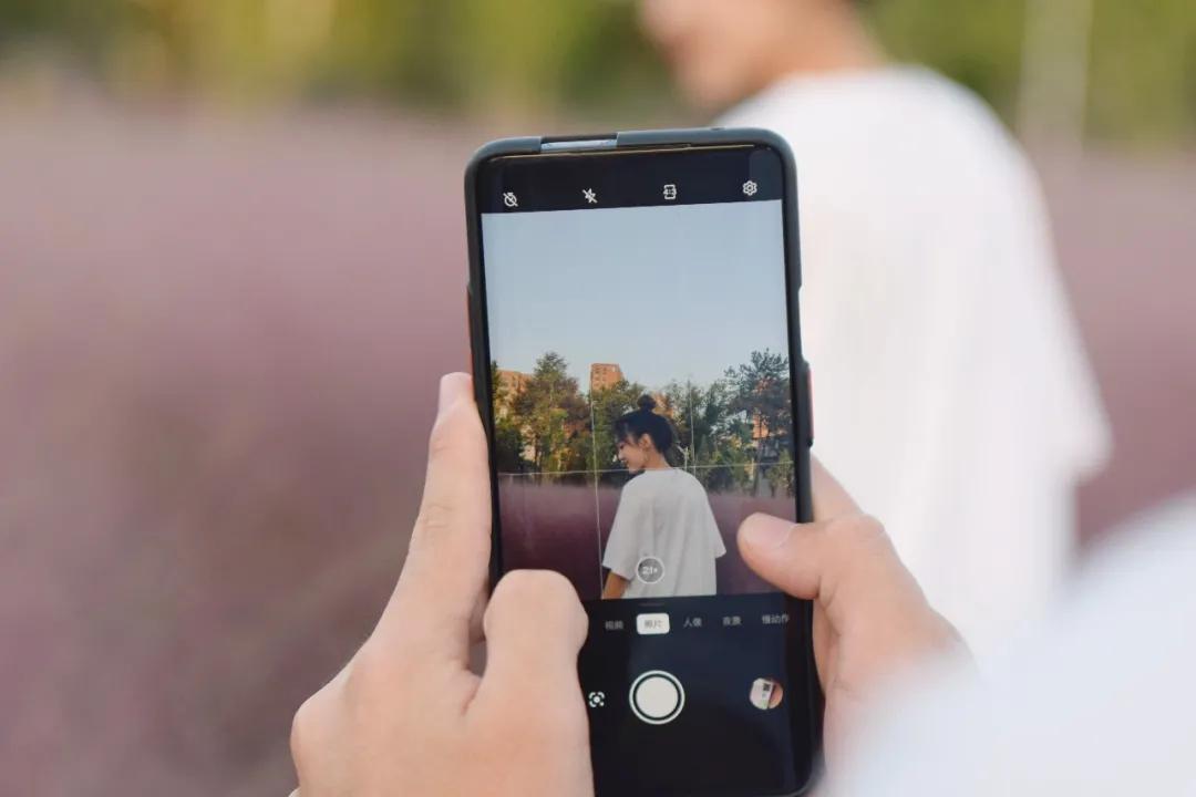 金的功用,金的功能主治