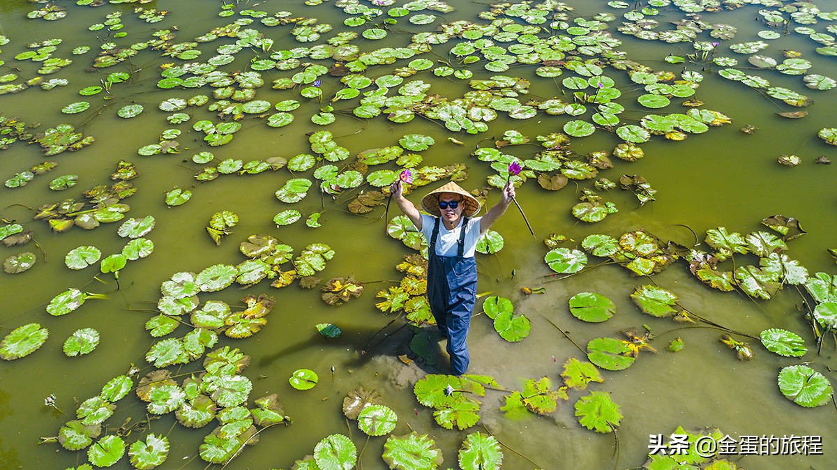 不出上海有哪些地方旅游,不出上海玩的景点排行榜